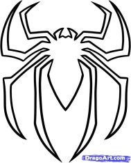 Spider_Matt
