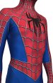 [Platinum] Puff Painted TASM 2 Amazing S-guy Costume