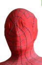 Amazing S-guy 2 Hood