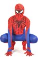 Amazing S-guy Costume | Printing Web Spandex Lycra S-guy Zentai