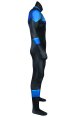 Batman Under the Red Hood Nightwing Printed Costume