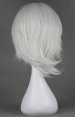 D.Gray-man! Allen Walker's Wig!