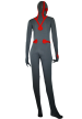 Greed Costume | Dark Grey and Red Spandex Lycra Zentai Suit