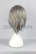 HitmanReborn-Gokudera Hayato Wig