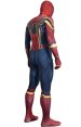 Iron-Spider Homecoming Printed Spandex Lycra Costume with 3D Muscle Shadings