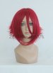 Kallen Stadtfeld Wig | CODE GEASS