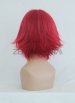 Kallen Stadtfeld Wig | CODE GEASS