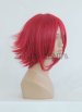 Kallen Stadtfeld Wig | CODE GEASS