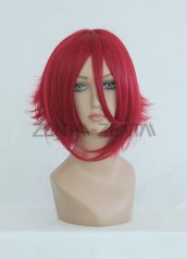 Kallen Stadtfeld Wig | CODE GEASS