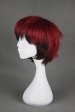 Kuroko Tetsuya! Kagami Taiga's Cosplay Wig!