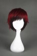 Kuroko Tetsuya! Kagami Taiga's Cosplay Wig!
