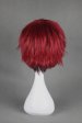 Kuroko Tetsuya! Kagami Taiga's Cosplay Wig!