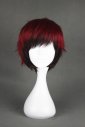 Kuroko Tetsuya! Kagami Taiga's Cosplay Wig!