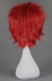 Kuroko's Basketball! Seijūrō Akashi's Wig!