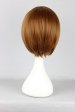 Meiko Cosplay Wig | Vocaloid