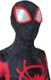 Miles Morales Into the Spider-Verse Printed Spandex Lycra Costume with Lenses and Soles