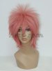 Natsu Dragnee Wig | Fairy Tail