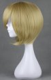 Natsume Yuujinchou!Takashi Natsume Wig!