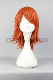 One piece-Nami Wig
