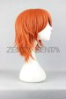 One piece-Nami Wig