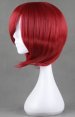 One Piece!Shanks Wig!