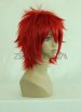 Otoya Ittoyi Wig | UTA NO PRINCE SAMA