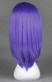 Pandora Hearts!Echo's Wig!