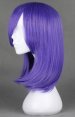 Pandora Hearts!Echo's Wig!