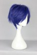 Rei Ryugazaki Cosplay Wig | Free!