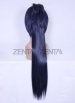 Rokudo Mukuro 10 Years After Wig | Reborn