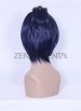 Rokudo Mukuro Wig | Reborn