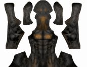 Rottweiler Printed Spandex Lycra Petsuit