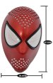 S-guy Faceshell Set with Mirror Lenses