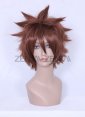 Sawada Tsunayoshi Wig | Reborn
