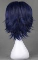 Shugo Chara!Tsukiyomi ikuto's Wig
