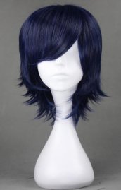 Shugo Chara!Tsukiyomi ikuto's Wig