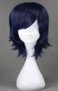 Shugo Chara!Tsukiyomi ikuto's Wig