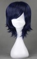 Shugo Chara!Tsukiyomi ikuto's Wig