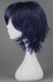 Shugo Chara!Tsukiyomi ikuto's Wig