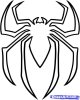 Spider_Matt