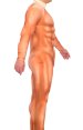 Standard Muscle Suit (provides a nice athletic tone)