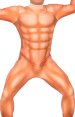 Standard Muscle Suit (provides a nice athletic tone)