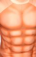 Standard Muscle Suit (provides a nice athletic tone)