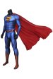 Superman and Lois | Superman Printed Spandex Lycra Costume with Cape