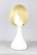 Takashi Natsume Cosplay Wig | Natsume Yuujinchou