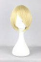 Takashi Natsume Cosplay Wig | Natsume Yuujinchou