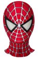 The Amazing Spider-Man 2 Printed Spandex Lycra Costume for Kid