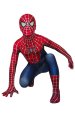 The Amazing Spider-Man 2 Printed Spandex Lycra Costume for Kid