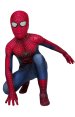 The Amazing Spider-Man 2 Printed Spandex Lycra Costume for Kid