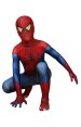The Amazing Spider-Man Peter Parker Printed Costume for Kid